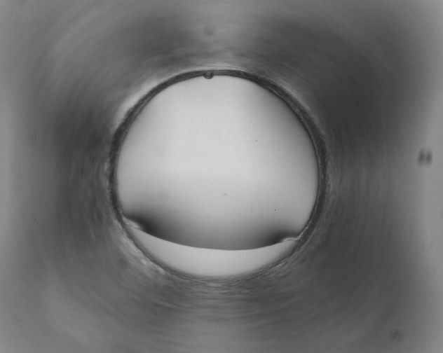 X0000110691460200907021922