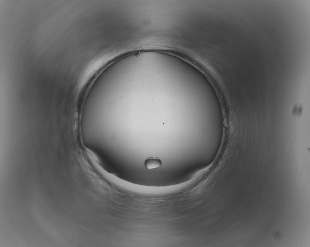 X0000110691461200907021922