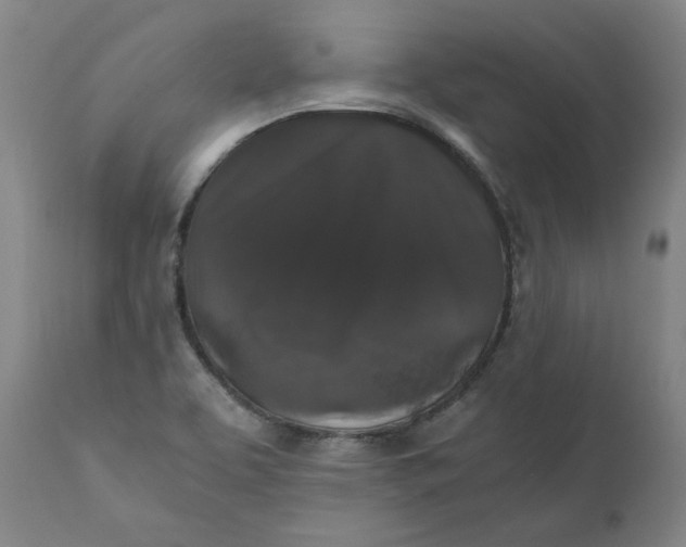 X0000110691463200907021922