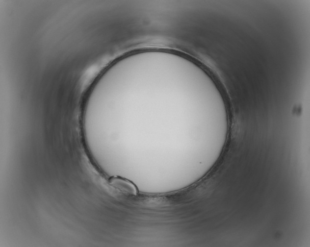 X0000110691464200907021922