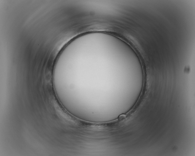 X0000110691465200907021922