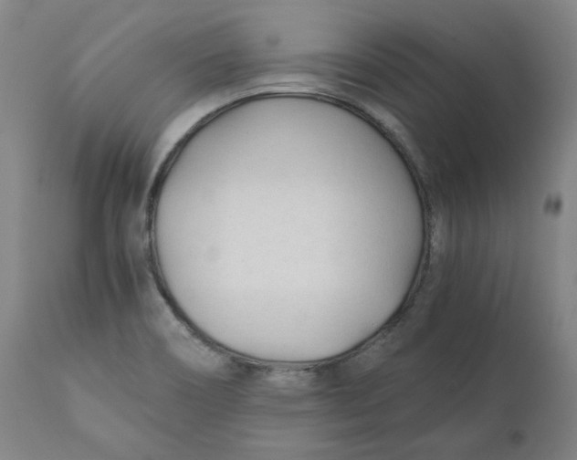 X0000110691466200907021922