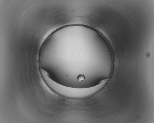 X0000110691468200907021922