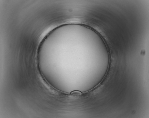 X0000110691469200907021922