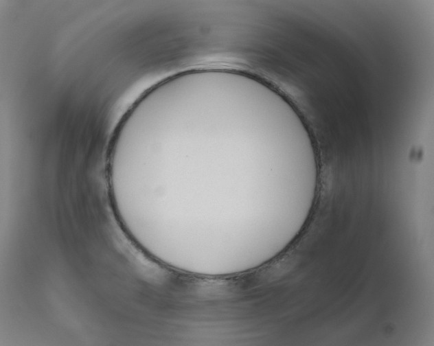 X0000110691470200907021922