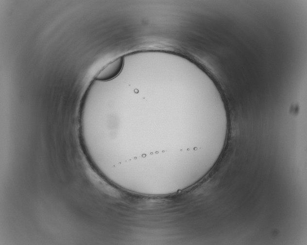 X0000110691471200907021922