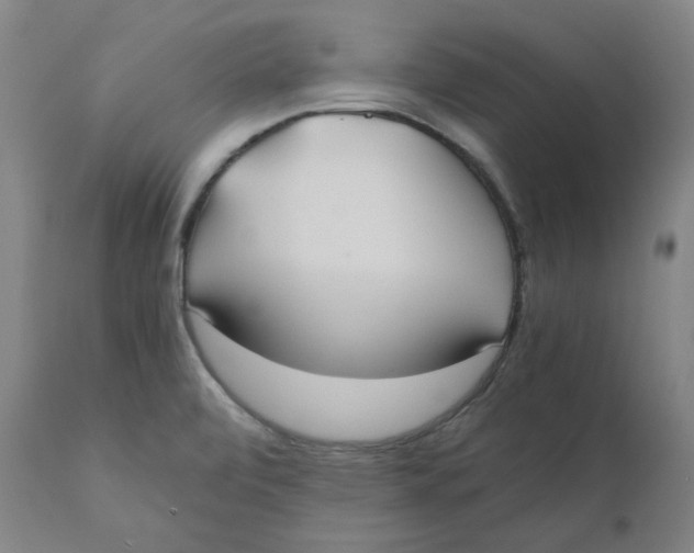 X0000110691472200907021922