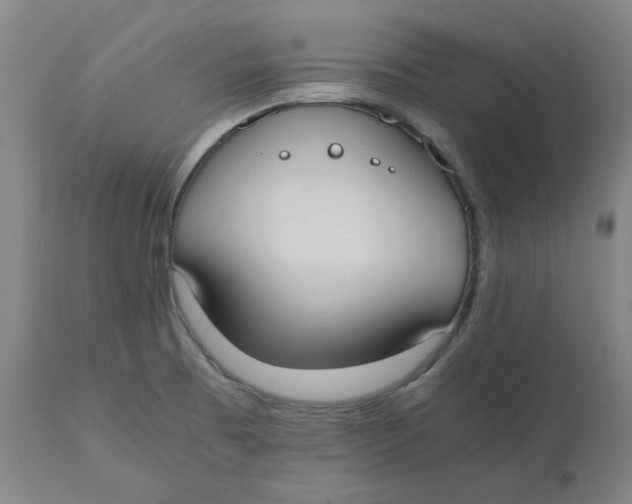 X0000110691473200907021922