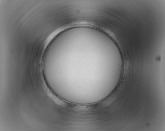 X0000110691474200907021922