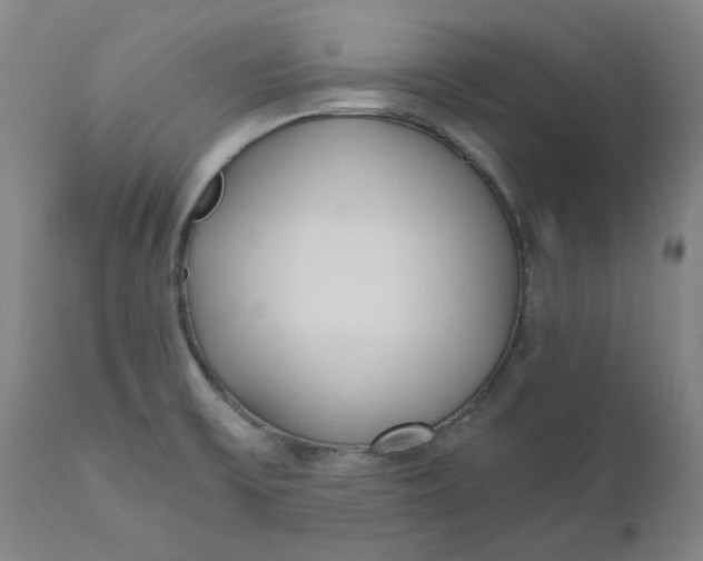 X0000110691475200907021922