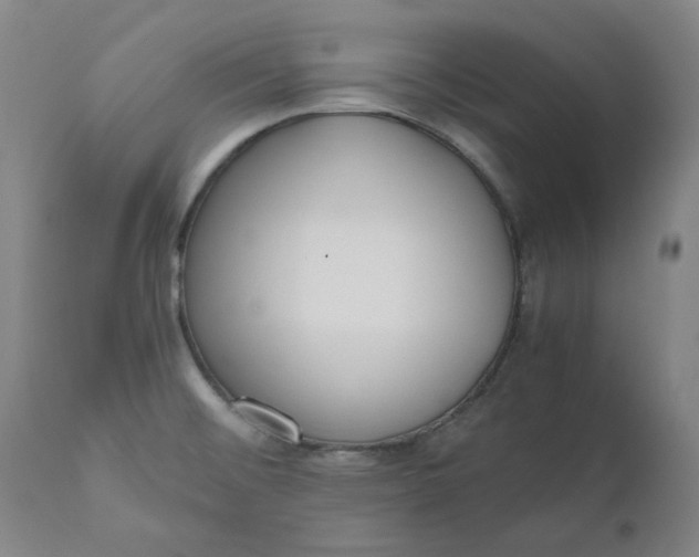 X0000110691476200907021922