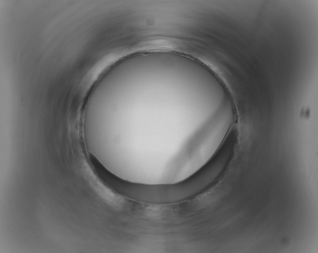 X0000110691477200907021922