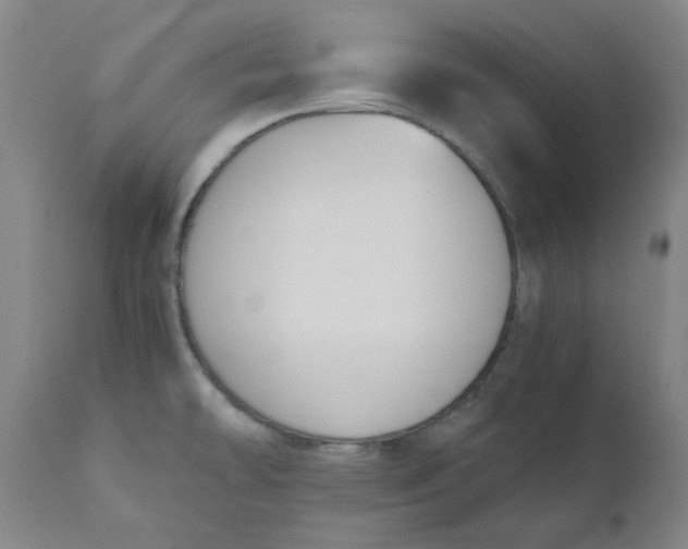 X0000110691478200907021922