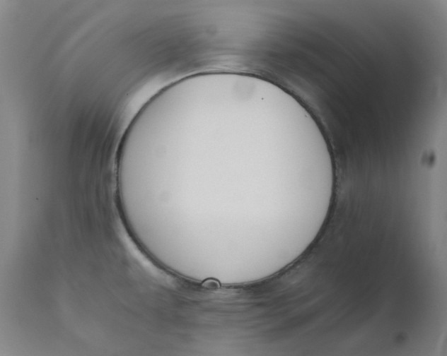 X0000110691479200907021922