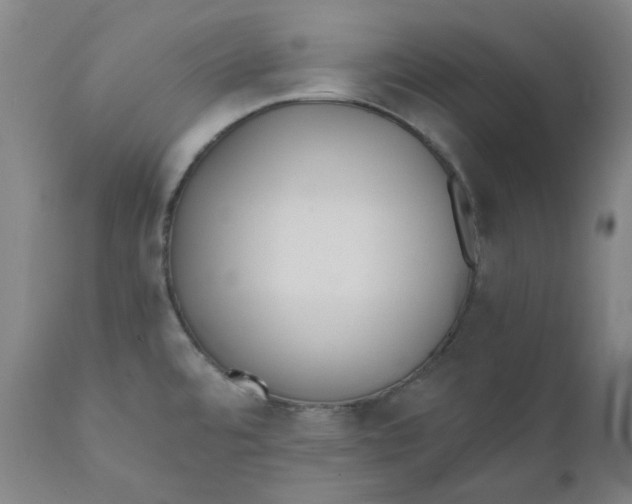 X0000110691480200907021922