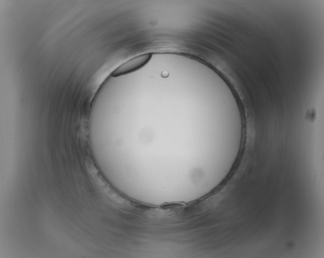 X0000110691481200907021922