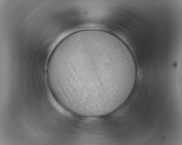 X0000110691482200907021922