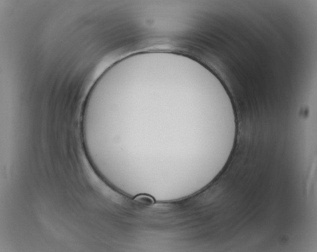 X0000110691483200907021922