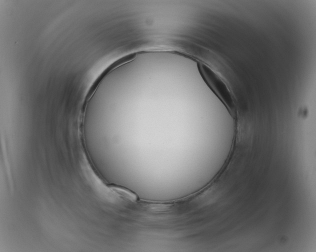 X0000110691484200907021922