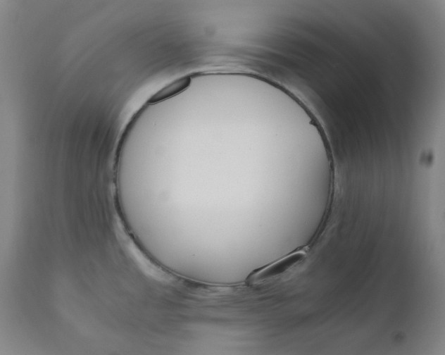 X0000110691485200907021922