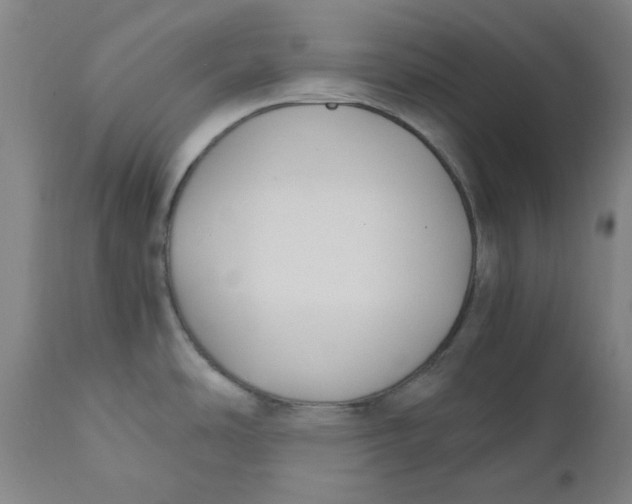 X0000110691486200907021922