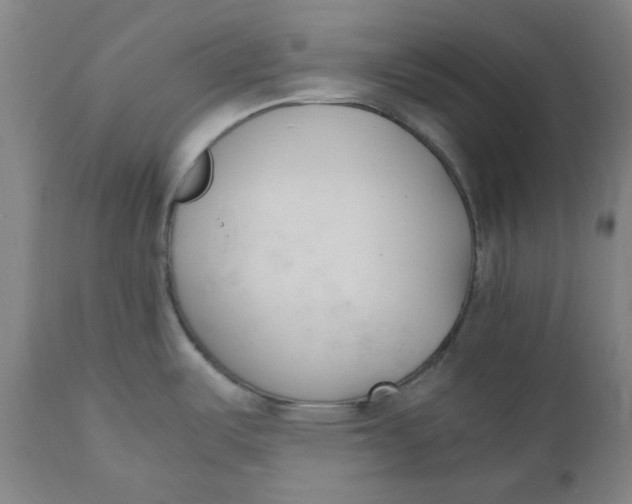 X0000110691487200907021922