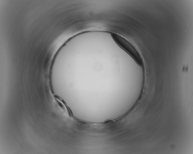 X0000110691488200907021922