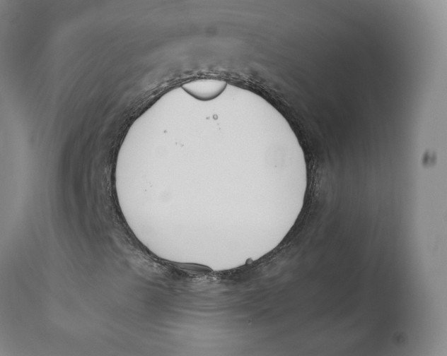 X0000110691489200907021921