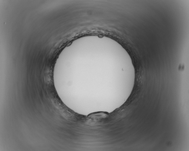 X0000110691490200907021921