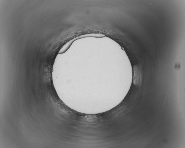 X0000110691491200907021921