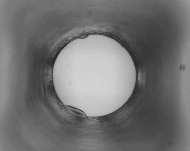 X0000110691492200907021921