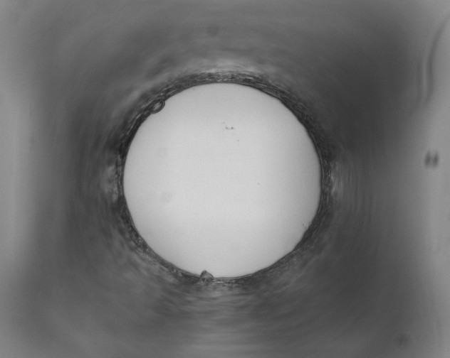 X0000110691493200907021921