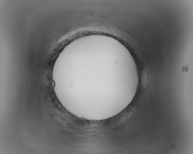 X0000110691494200907021921