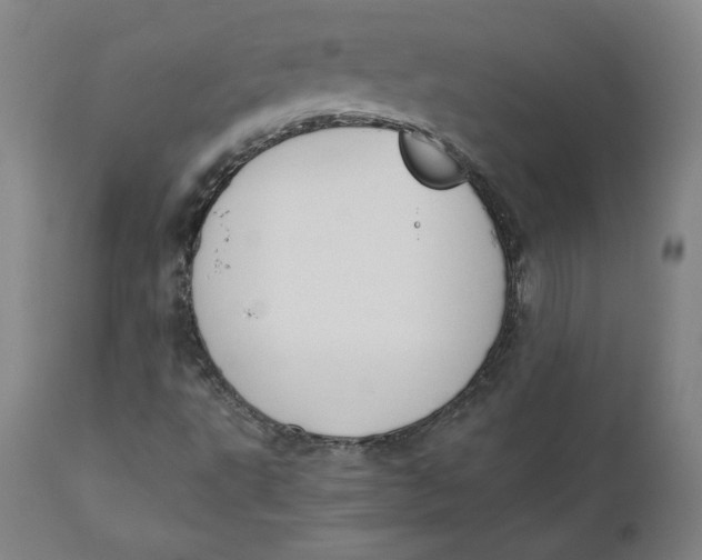 X0000110691495200907021921