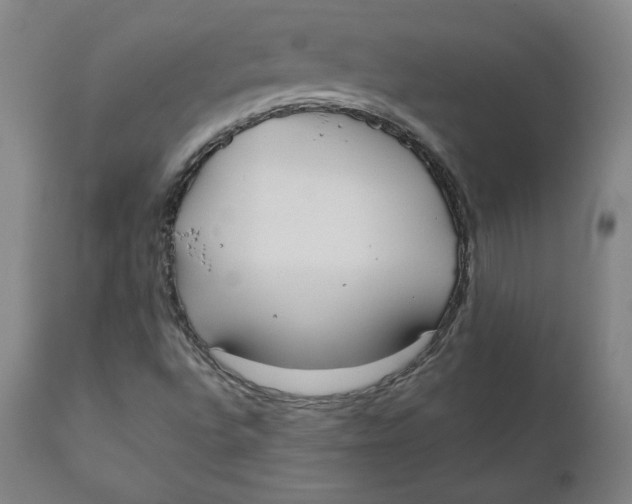 X0000110691496200907021921