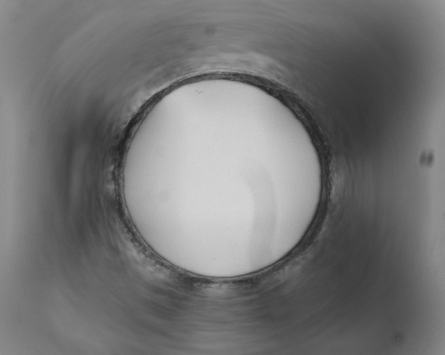 X0000110691497200907021921