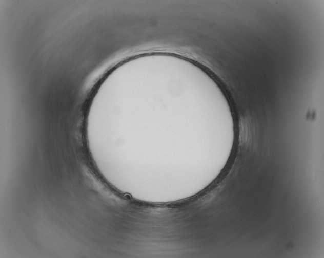 X0000110691502200907021922