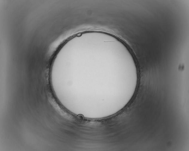 X0000110691503200907021922