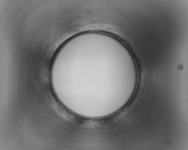 X0000110691505200907021922