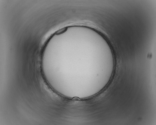 X0000110691506200907021922