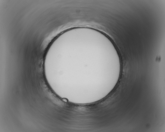 X0000110691507200907021922