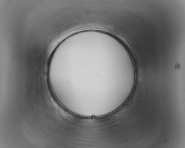 X0000110691508200907021922