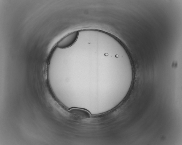 X0000110691510200907021922