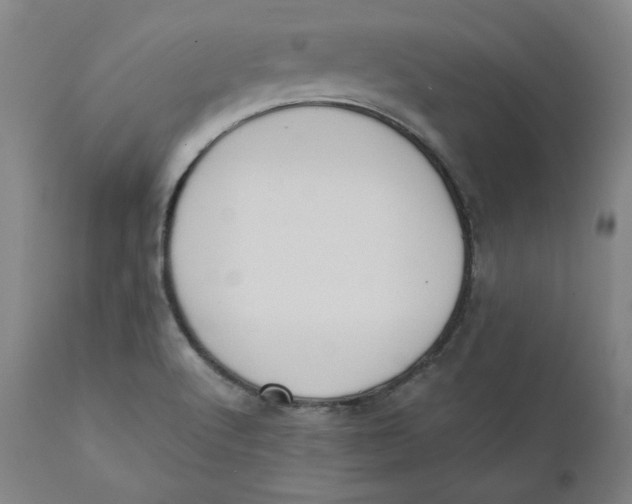 X0000110691512200907021922