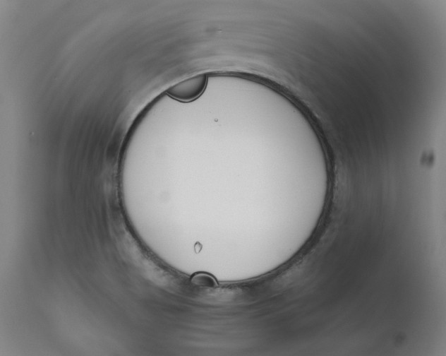 X0000110691513200907021922