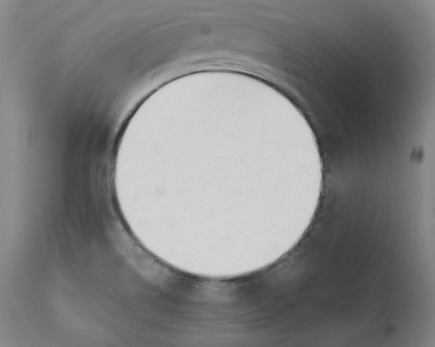 X0000110691514200907021922