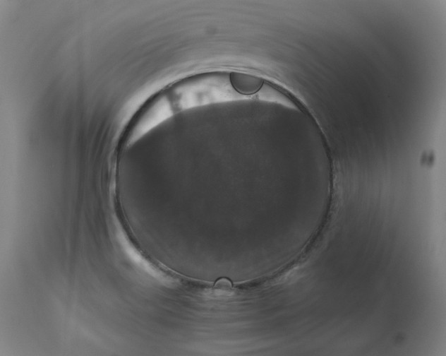 X0000110691515200907021922