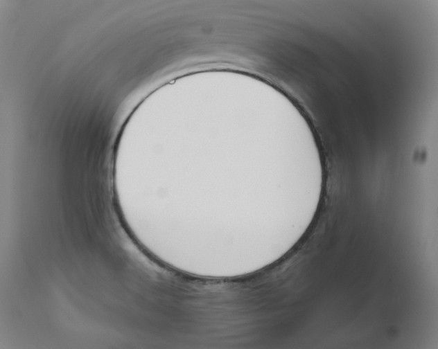 X0000110691516200907021922