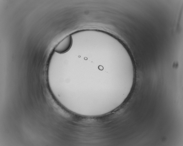 X0000110691517200907021922