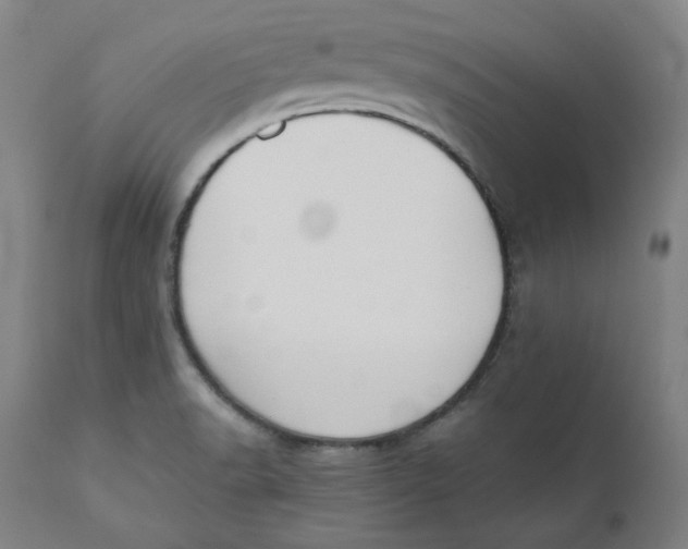 X0000110691518200907021922